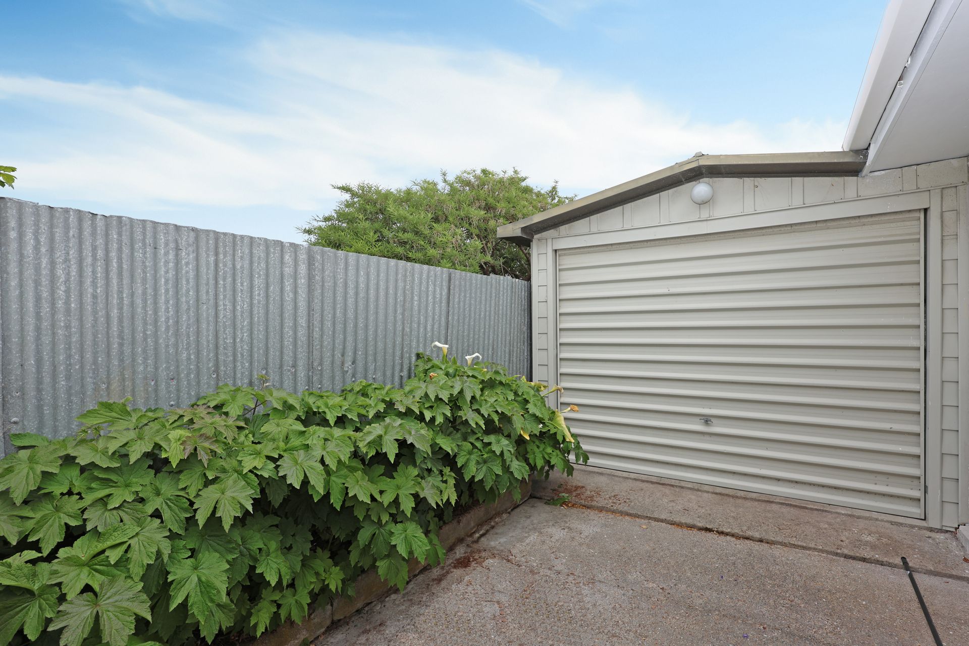 58A Till Street, Oamaru, Waitaki, New Zealand