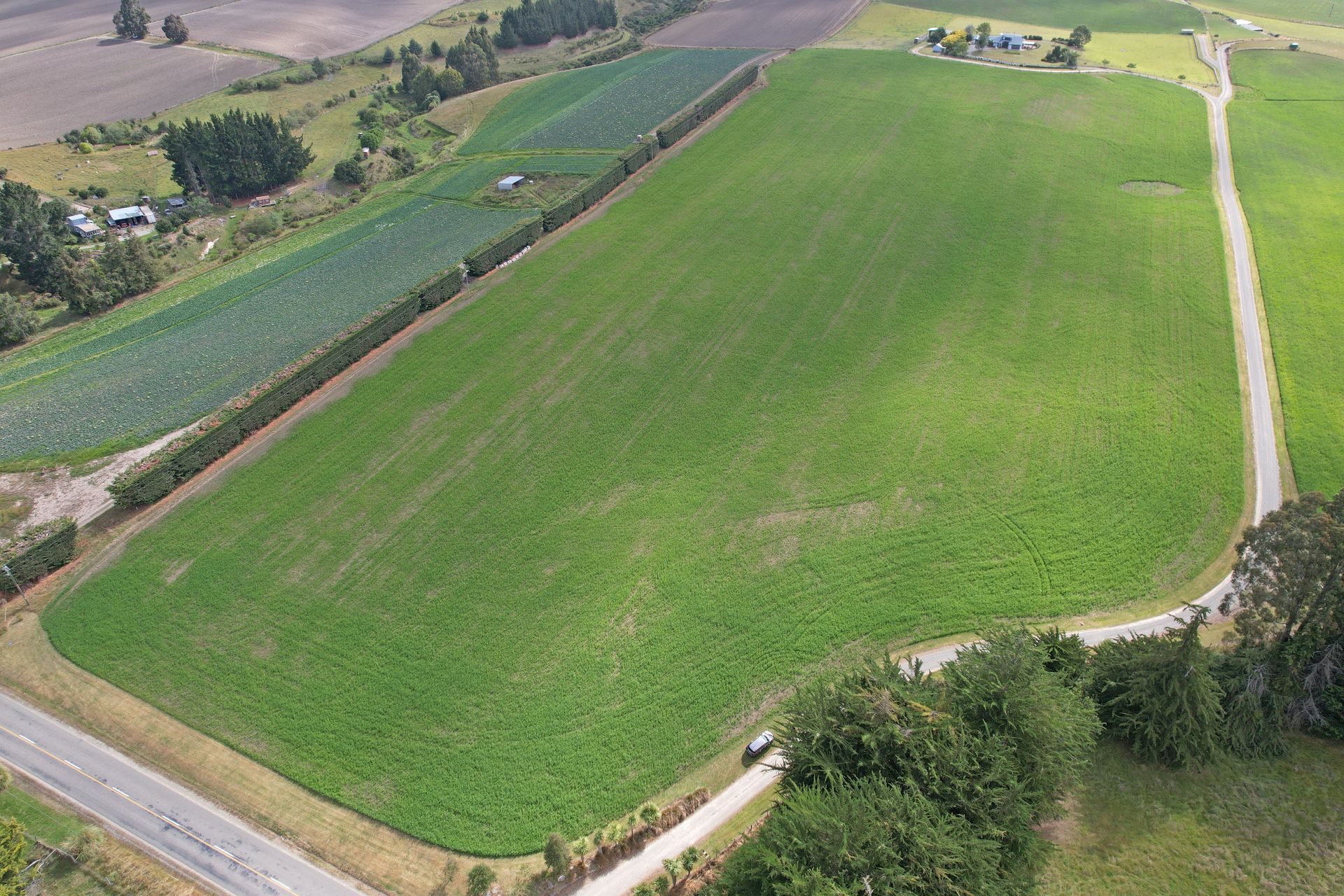 253 Whiterocks Road, Weston, Waitaki, New Zealand