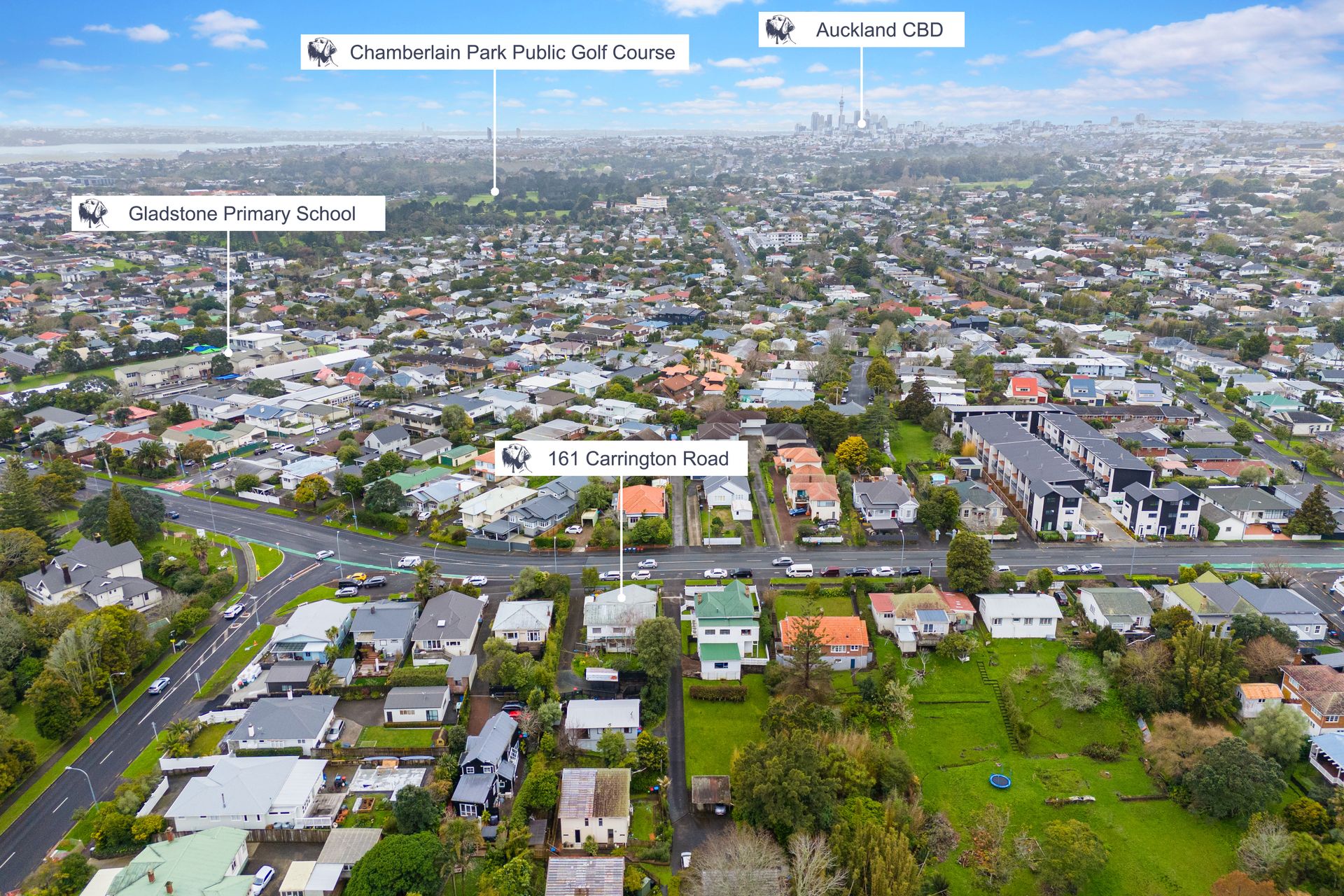 161 Carrington Road, Mount Albert, Auckland City, New Zealand