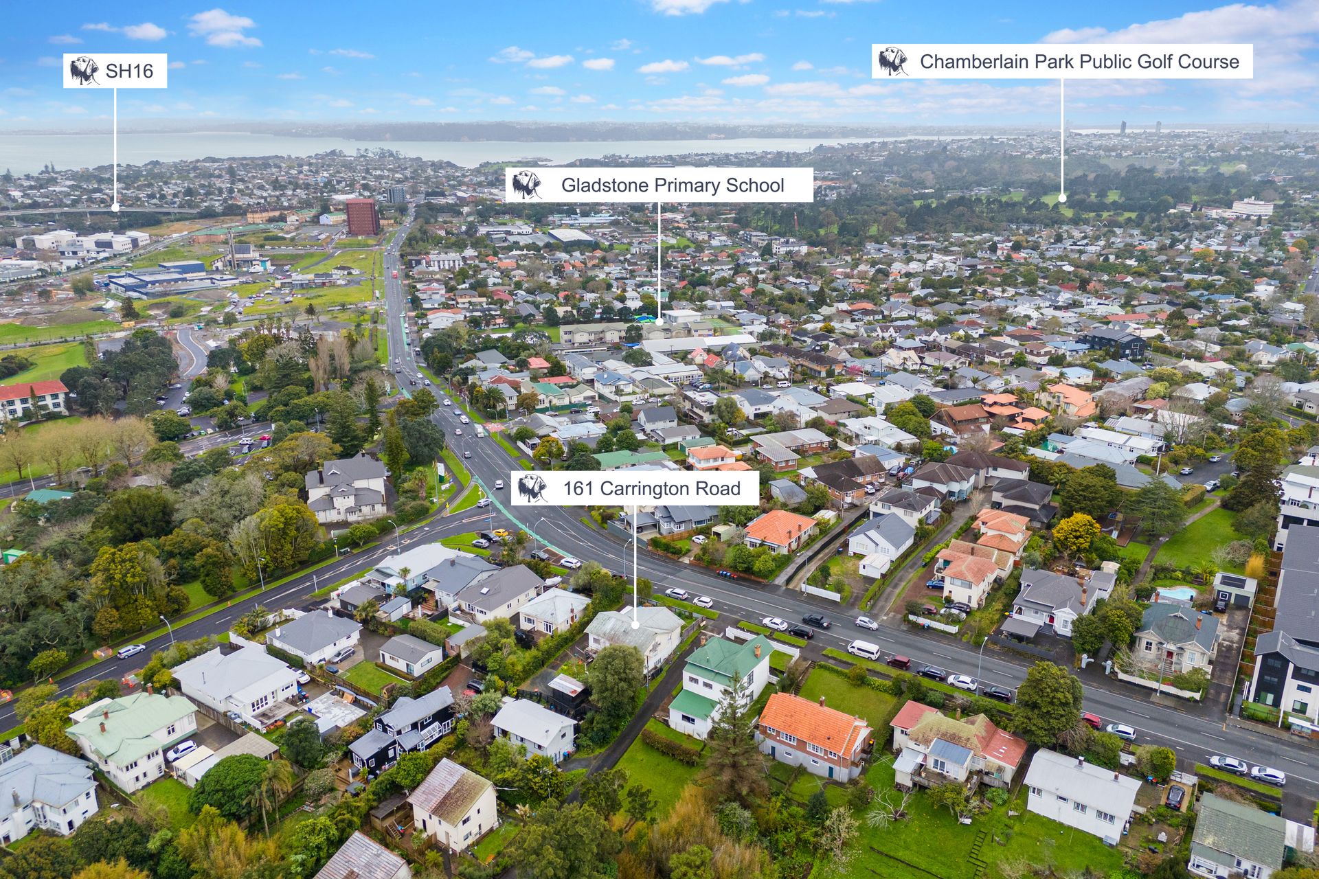 161 Carrington Road, Mount Albert, Auckland City, New Zealand