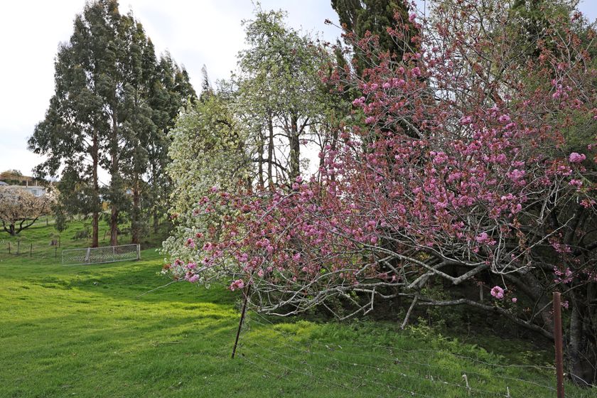 Lot 1 Solway Street, Oamaru, Waitaki