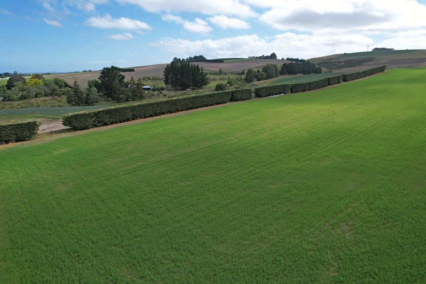 253 Whiterocks Road, Weston, Waitaki