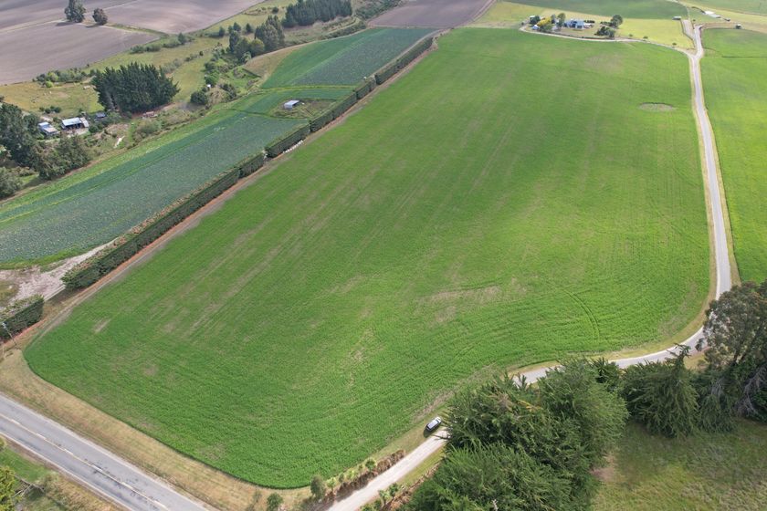 253 Whiterocks Road, Weston, Waitaki