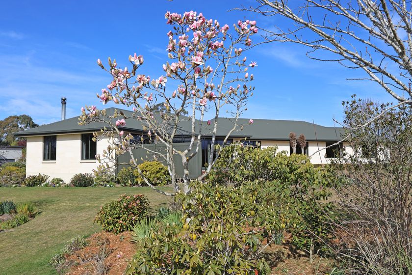 331 Homestead Road, Oamaru, Waitaki