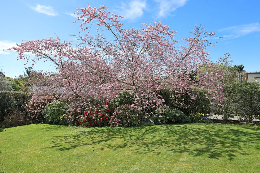 331 Homestead Road, Oamaru, Waitaki