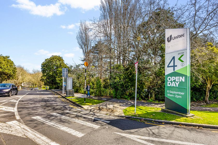 161 Carrington Road, Mount Albert, Auckland City