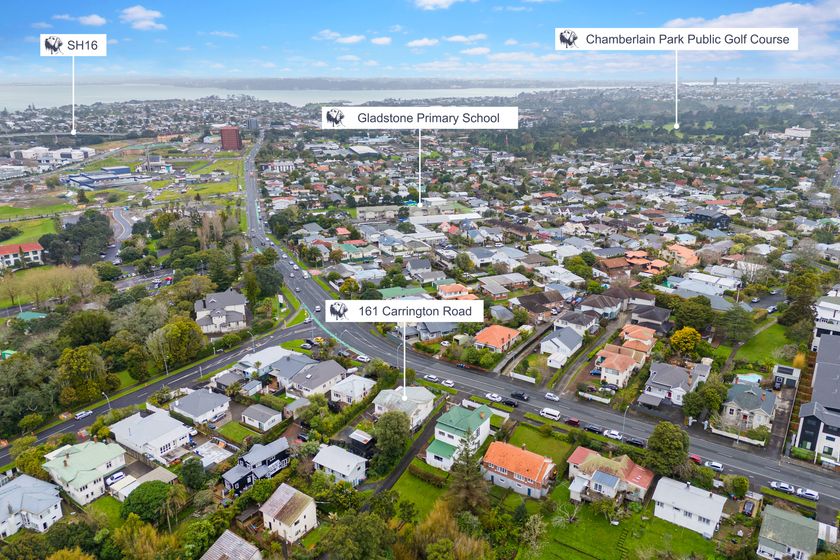 161 Carrington Road, Mount Albert, Auckland City
