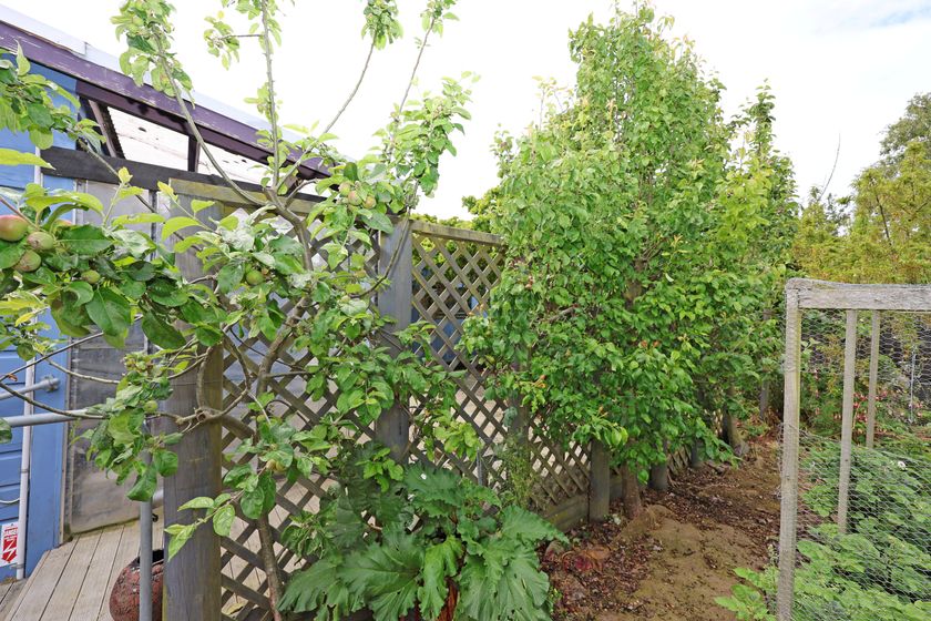 31 Greta Street, Oamaru, Waitaki